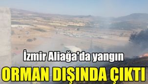 İzmir Aliağa'da yangın orman dışında çıktı