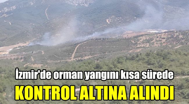 İzmir'de orman yangını kısa sürede kontrol altına alındı