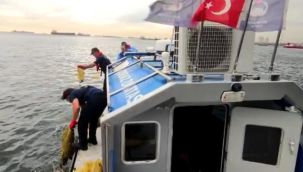 Kaçak avlanan 2,5 ton kara kıllı midye ve 500 kilo deniz salyangozu ele geçirildi