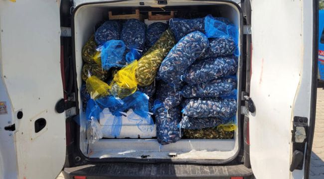 Kaçak balık ve midye taşıyan şüpheliye 10 bin 811 lira ceza