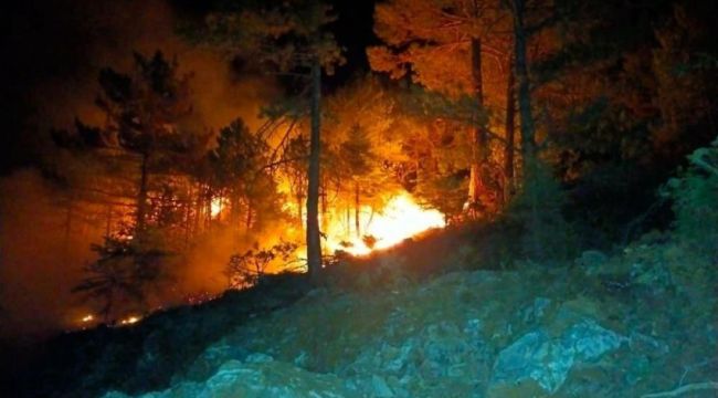 Konya'da ormanlık alanda çıkan yangın söndürüldü