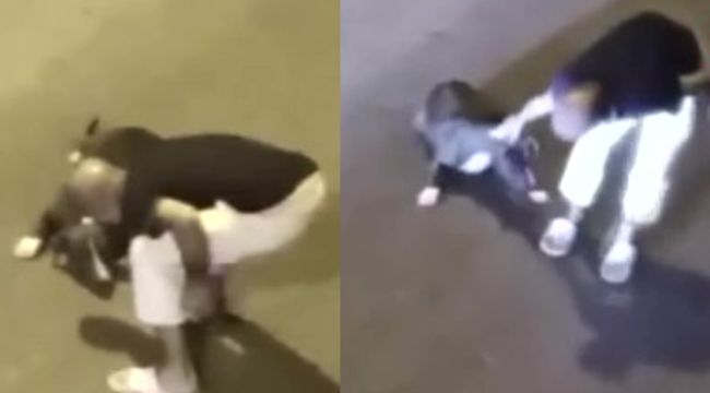 Köpeğini tekmeledi, yetmedi kaldırıp yere savurdu