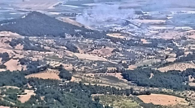 Manisa'da 2 ayrı noktada ormanlık alanda yangın başladı