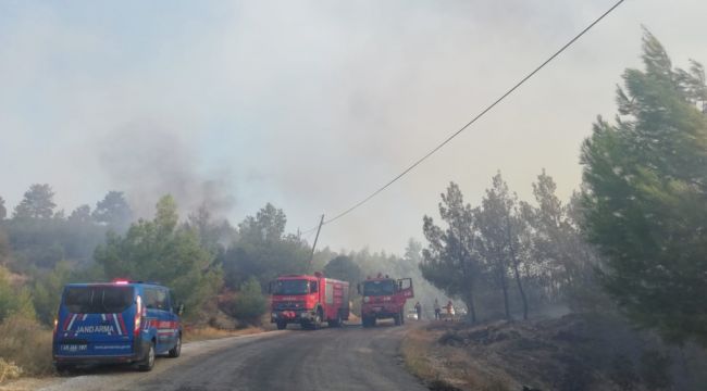 Manisa'daki orman yangını kontrol altına alındı