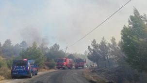 Manisa'daki orman yangını kontrol altına alındı
