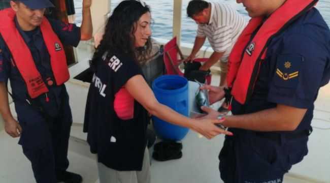 Palamut ve su ürünleri denetimi yeni dönem öncesi sıklaştırıldı