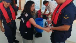Palamut ve su ürünleri denetimi yeni dönem öncesi sıklaştırıldı