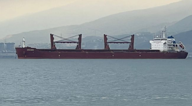 Ukrayna'dan mısır taşıyan "Arizona" gemisi İskenderun Körfezi'nde