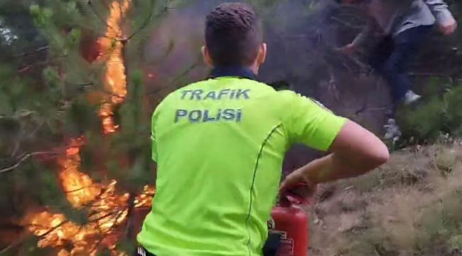Uygulama yapan polislerin dikkati orman yangınını önledi