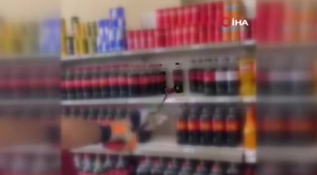 Yalova'da marketin rafından yılan çıktı