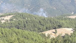Adana'nın 2 ilçesinde orman yangını çıktı