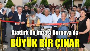 Atatürk’ün imzası Bornova’da: Büyük bir çınar