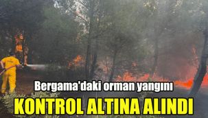Bergama'daki orman yangını kontrol altına alındı