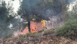 Hatay'da ormanlık alanda çıkan yangın evlere sıçramadan söndürüldü