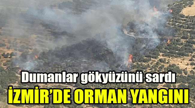İzmir'de orman yangını: Dumanlar gökyüzünü sardı