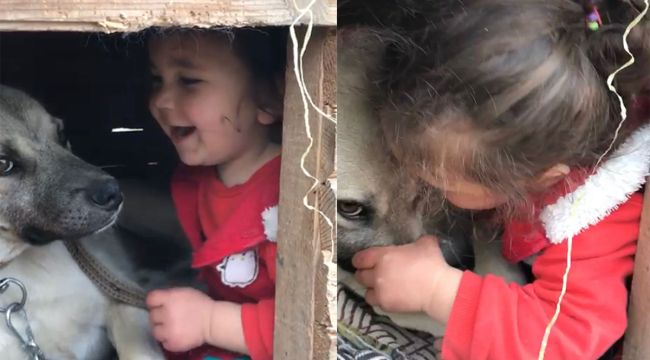 Küçük çocuğun köpek sevgisi görenleri gülümsetti.
