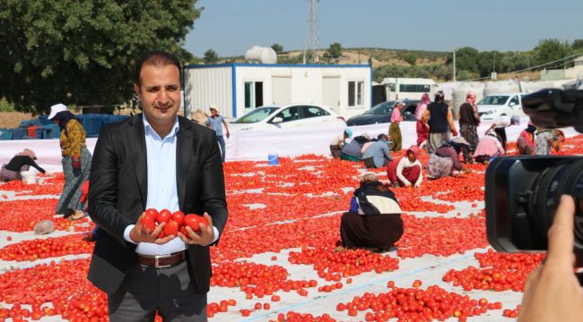 Kuru domates, Aslanlar Biberinden sonra Bardacık İnciri coğrafi işaret alacak
