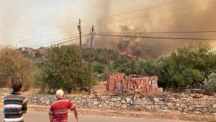 MSB'den yangın söndürme çalışmalarına destek