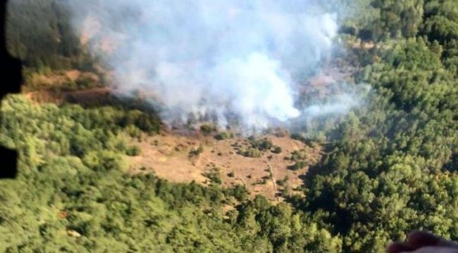 Orman yangını: Havadan ve karadan müdahale başladı