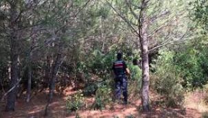 Puget Boğazı'nda deniz uçağı düştü