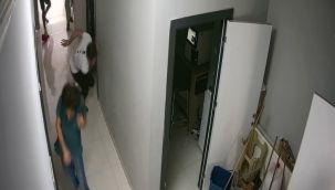 Veteriner kliniğindeki hırsızlık