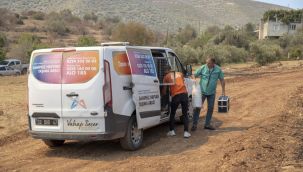 Yangın bölgesindeki hayvanlar için mama ve su bırakıldı