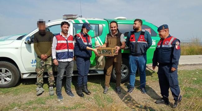 19 saka kuşunu avlayan kişiye ceza yağdı