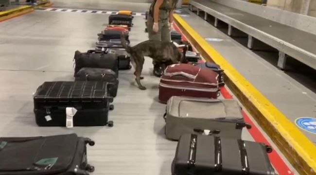 Gümrük muhafaza ekiplerinden operasyon