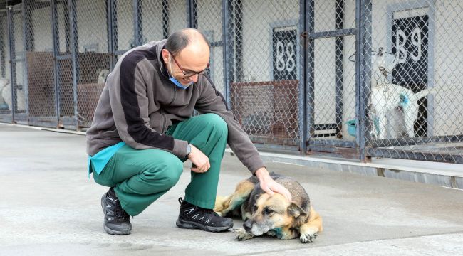 Bayraklı Belediyesi sahip çıktı 'Şanslı' kanseri yendi