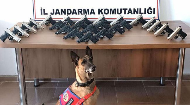 Durdurulan araçtan ruhsatsız tabancalar ele geçirdi