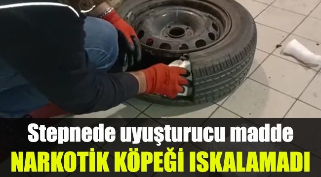 Narkotik köpeği ıskalamadı: Stepnede uyuşturucu madde