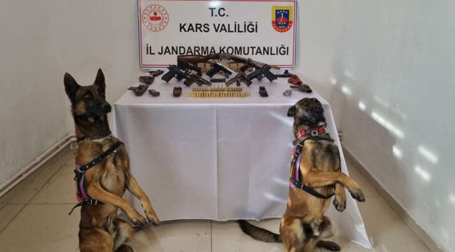 Operasyonda silahları eğitimli köpekler 'Çapkın' ve 'Taş' buldu