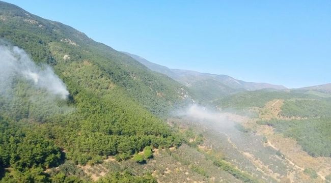 Orman yangını kontrol altına alındı
