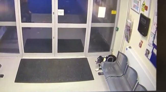 Sahibini kaybeden akıllı köpek polise başvurdu