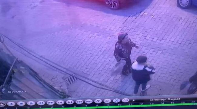 Fatih'te mahallelinin maskotu köpek 'Polat'ı bıçakladılar