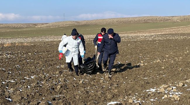 Kayıp Alzheimer hastası kadın, arazide ölü bulundu