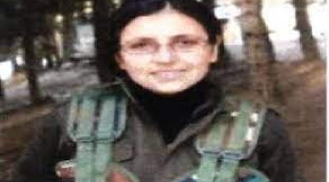 MİT, PKK'nın Suriye'de sözde bölge sorumlusunu etkisiz hale getirdi