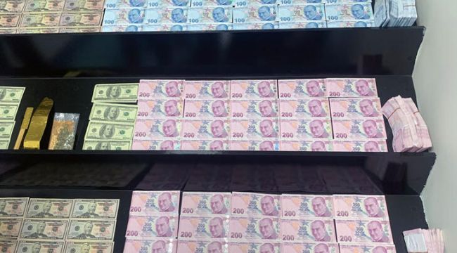 Sahte para şebekesine yapılan operasyonda tutuklama