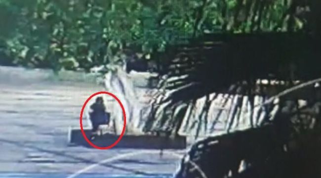'Sembol ağacı kuruttular' iddiasına 4'er yıla kadar hapis talebi
