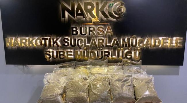 Valizinde 20 kilo bonzai ele geçirildi