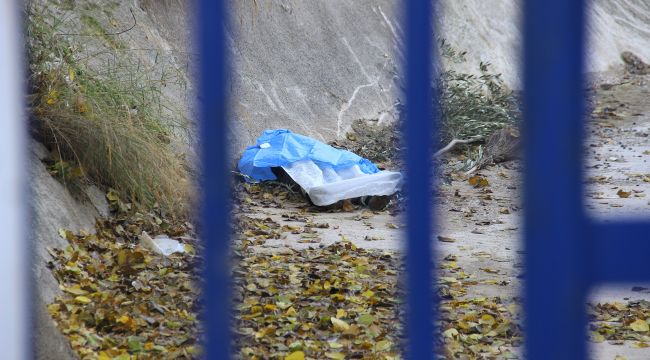 Zeytin toplamak için çıktığı ağaç sonu oldu
