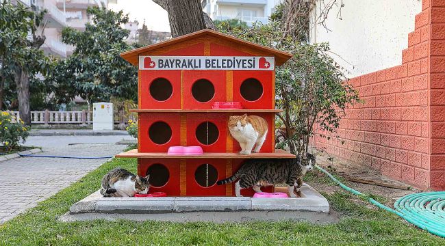 Bayraklı Belediyesi can dostları unutmadı