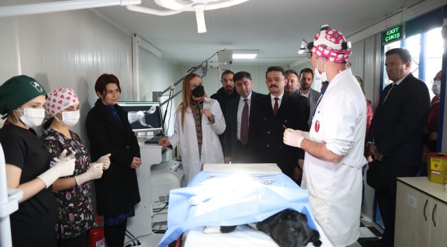 DEÜ'den can dostlarına şefkat