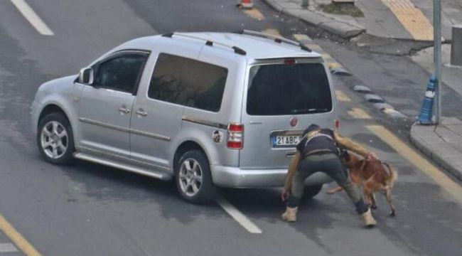 Diyarbakır'da adliye yakınında 'yol ortasındaki araç' alarmı