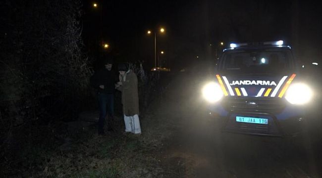 Düzce&#039;de köpek ölümlerine inceleme