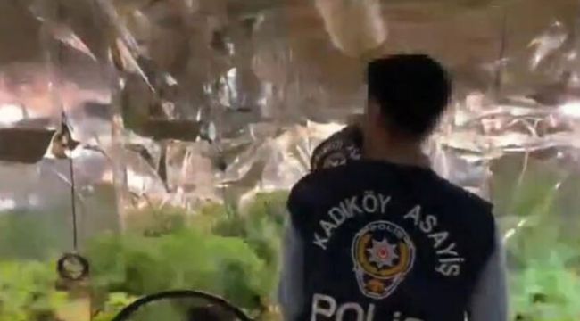 Kadıköy ve Kağıthane’de uyuşturucu operasyonu