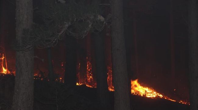 Kaz Dağları’nda yangın çıktı