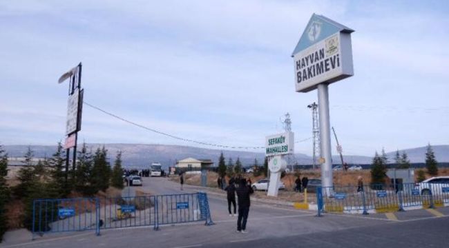 Köpeğin kürekle öldürülmesinde sanıklara verilen cezayı az bulan savcılıktan itiraz