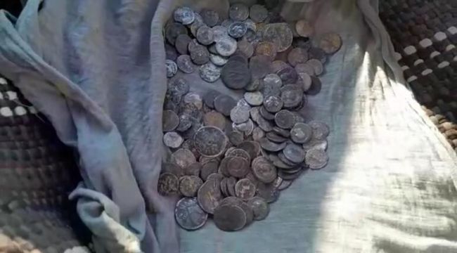 Şanlıurfa’da, 224 sikke ele geçirildi