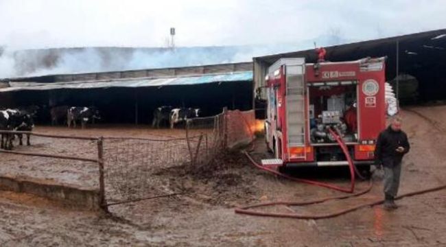 Tekirdağ'da çiftlik yangını